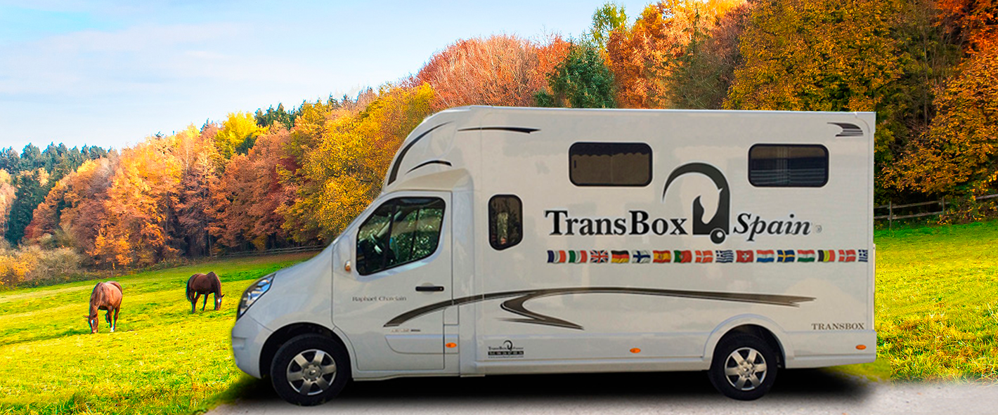 TransBoxSpain